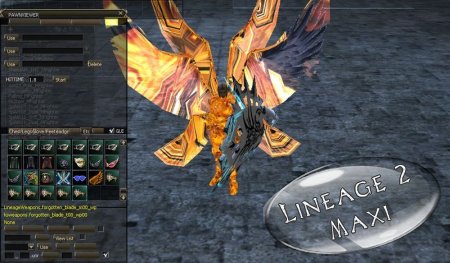 Flaming Dark Knight + Wings+Shield+Skills