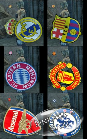 UEFA Shields